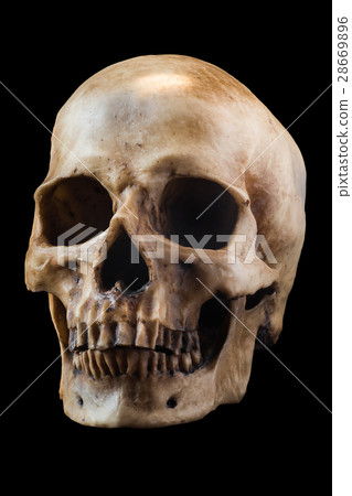 Human skull on black background 28669896