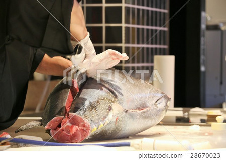 金槍魚拆解秀 金槍魚拆解秀 28670023