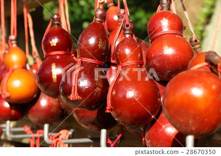 A sunny day gourd A sunny day gourd 28670350