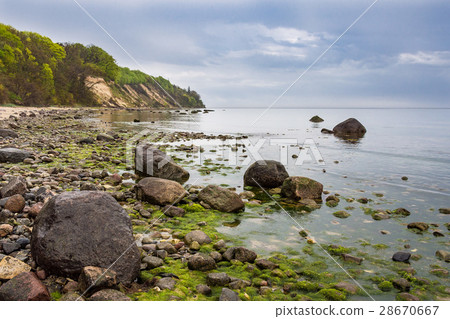 Foundlings on shore of the Baltic Sea Foundlings on shore of the Baltic Sea 28670667