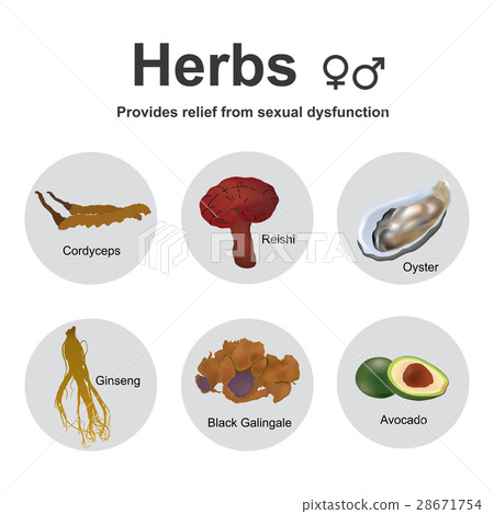 herbs sexual dysfunction Stock Illustration 28671754 PIXTA