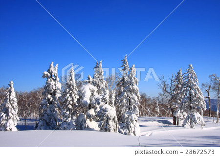 在早晨多雪的領域附近的冬天風景〜Horo Takiyama 28672573
