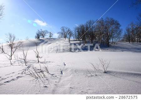 在早晨多雪的領域附近的冬天風景〜Horo Takiyama 在早晨多雪的領域附近的冬天風景〜Horo Takiyama 28672575