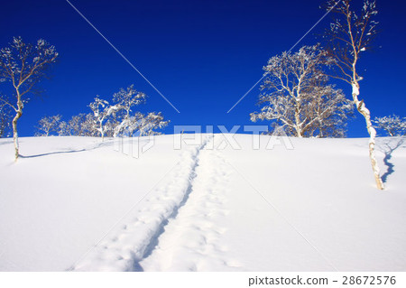 在早晨多雪的領域附近的冬天風景〜Horo Takiyama 28672576
