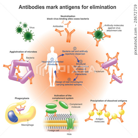antibodies 28672719