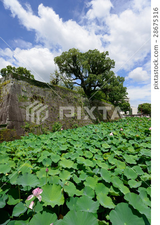Tsurumaru Castle Ruins 28675316