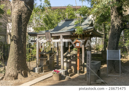 Kamimeguro Hikawa Shrine 28675475