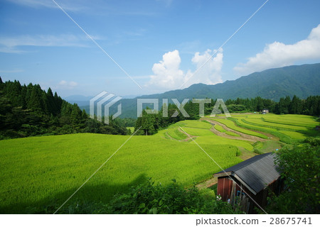 在日本的Ujiyama 100 Tanada的Kami-ku Terrace的Hyogo ken Kimi-cho 28675741