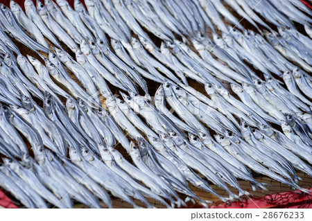 Sunami's sun-dried sun Sunami's sun-dried sun 28676233