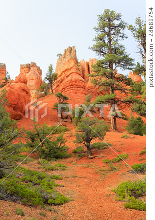 Red canyon panorama, Utah, USA Red canyon panorama, Utah, USA 28681754