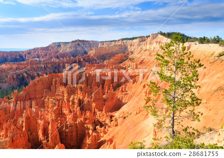 Panorama from Bryce Canyon National Park, USA 28681755