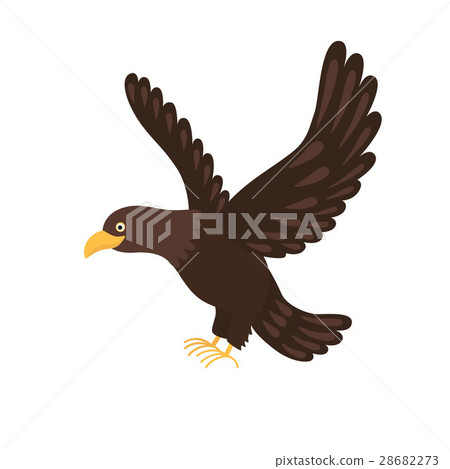 eagle flying isolated on white background eagle flying isolated on white background 28682273