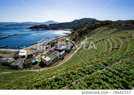 Yuuko Watergoura的Udaiba（愛媛縣宇和島市） 28682537