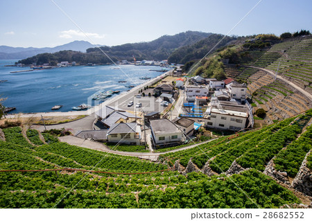 Yuuko Watergoura的Udaiba（愛媛縣宇和島市） 28682552