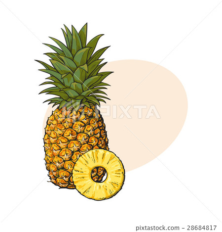 Whole, unpeeled, uncut, vertical pineapple and Whole, unpeeled, uncut, vertical pineapple and 28684817
