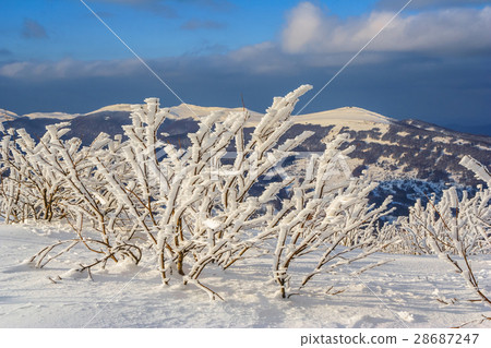 Winter mountain scenery in Bieszczady mountains 28687247
