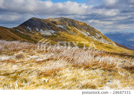 walking trail in Bieszczady mountain in Poland 28687331