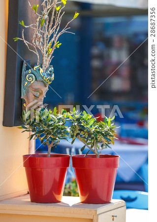 flowers in the pot in the outdoor restaurant 28687356