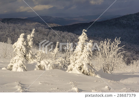 Winter mountain scenery in Bieszczady mountains Winter mountain scenery in Bieszczady mountains 28687379