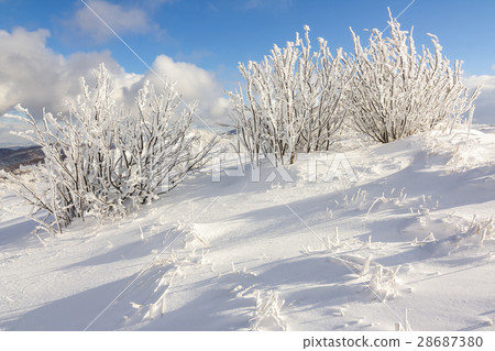 Winter mountain scenery in Bieszczady mountains Winter mountain scenery in Bieszczady mountains 28687380
