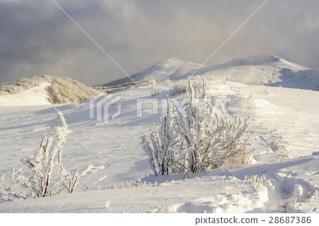 Winter mountain scenery in Bieszczady mountains 28687386