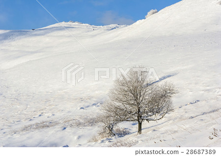 Winter mountain scenery in Bieszczady mountains 28687389