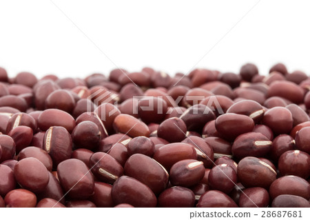 紅豆(Asuki):紅豆 紅豆(Asuki):紅豆 28687681