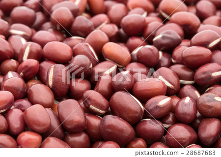 紅豆(Asuki):紅豆 紅豆(Asuki):紅豆 28687683