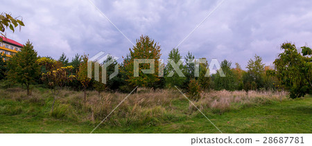 Countryside Rural Field Or Meadow Landscape 28687781