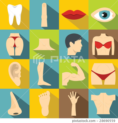 Body parts icons set, flat style Body parts icons set, flat style 28690559