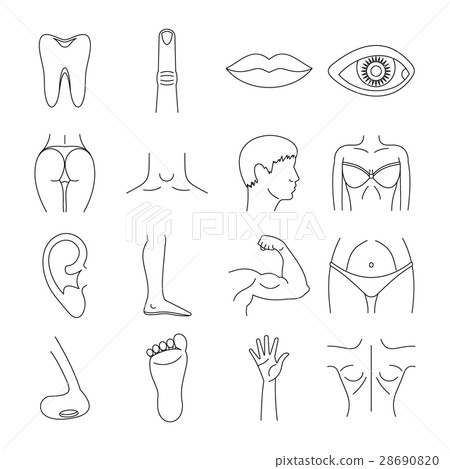 Body parts icons set, outline style 28690820