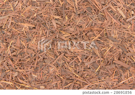 Lapacho(Pawdalco)樹皮:Pau d“arco樹皮 Lapacho(Pawdalco)樹皮:Pau d“arco樹皮 28691856