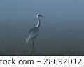 Crane 28692012