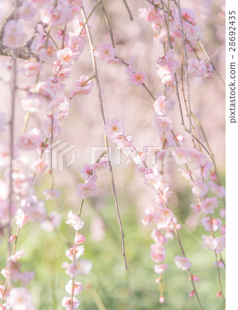 Izumi Recycling Environment Park 28692435