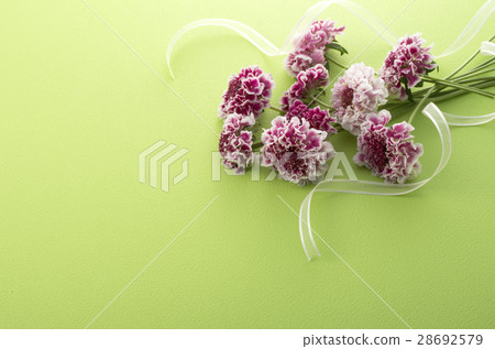 春天的花朵圖像 28692579