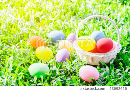 Easter eggs in basket on green meadow grass Easter eggs in basket on green meadow grass 28692636