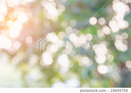 nature with sun splash and gold leaves 28694708