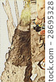 Planting soil garden leisurely 28695328