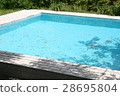 In summer pool 28695804