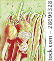 string bean, strawberries, strawberry 28696328