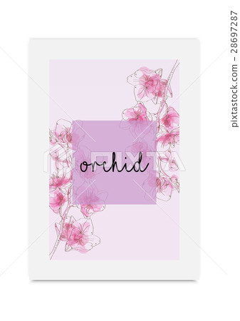 Orchid illustration hand drawn painted watercolor 28697287