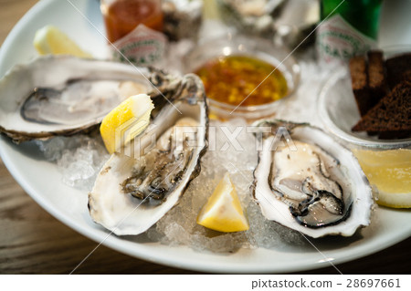 Oysters on a plate 28697661