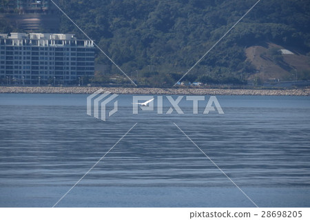 tolo harbour Landscape in Hong Kong 28698205