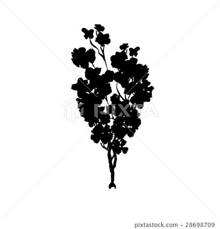 Tree black silhouette. Isolated on white. Tree black silhouette. Isolated on white. 28698709