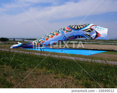 Jumbo Koinobori（Tonegawa Riverside Green Park /埼玉加賀市） 28699012