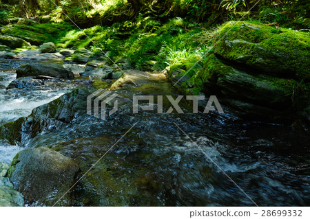 Mountain stream (106) Mountain stream (106) 28699332