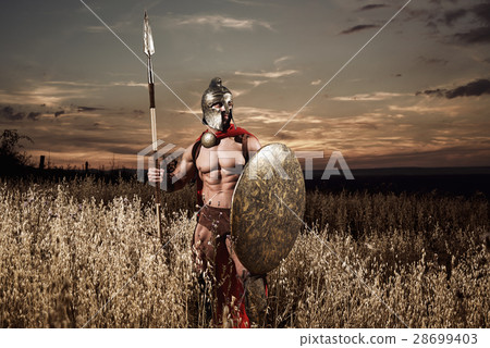 Strong Spartan warrior in battle dress with a Strong Spartan warrior in battle dress with a 28699403
