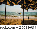 Under Umbella Beach 28699699
