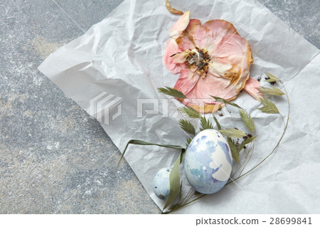 eggs on a paper 28699841