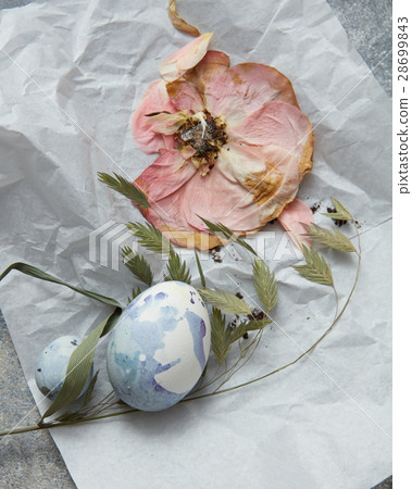 eggs on a paper 28699843